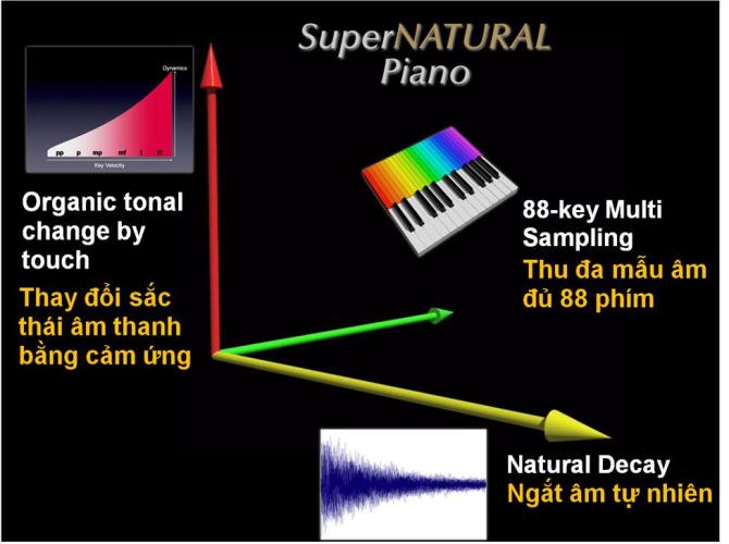 Công nghệ âm thanh SuperNatural độc quyền