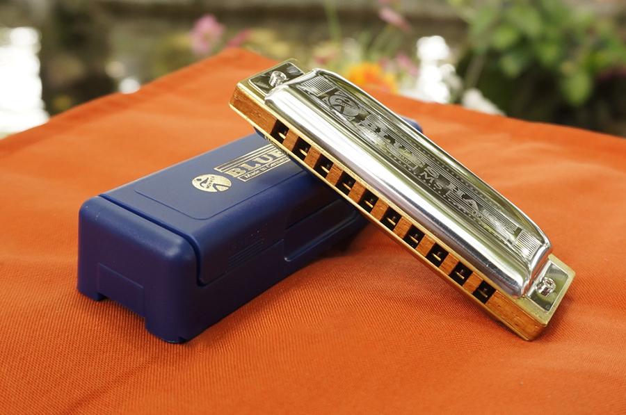 Kèn harmonica Diatonic 10 lỗ