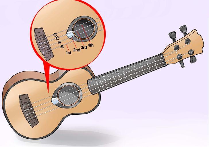Vị trí nối nhạc trên đàn ukulele