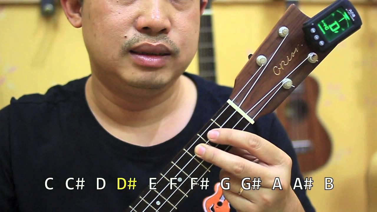 Cách chỉnh dây đàn ukulele