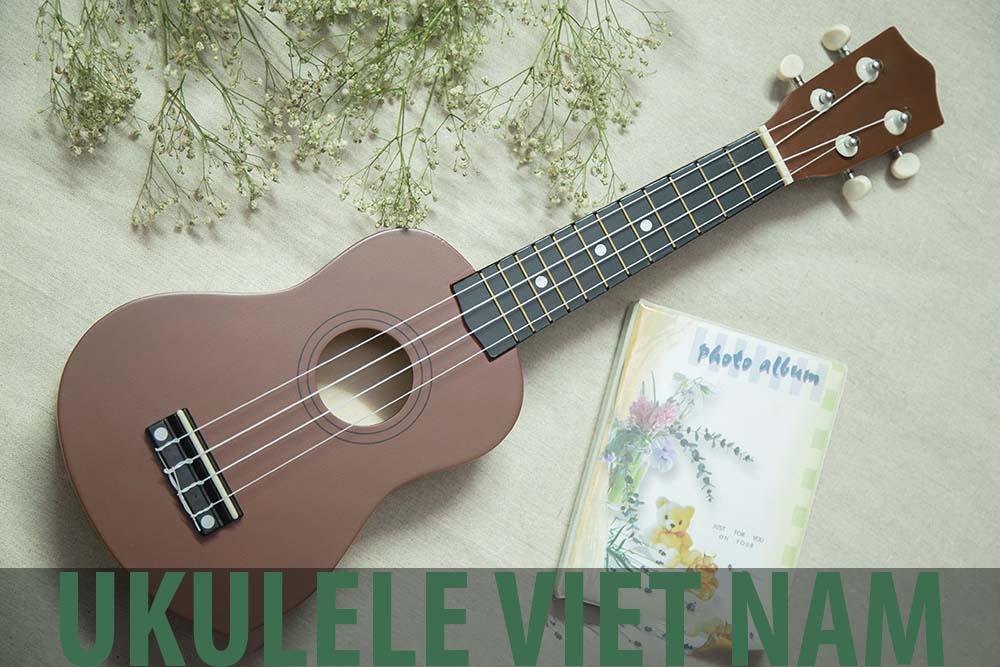 Đàn ukulele Việt Nam