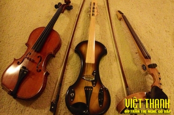 Phân Biệt Các Loại Đàn Violin Và Cái Tên Thường Bị Nhầm Lẫn