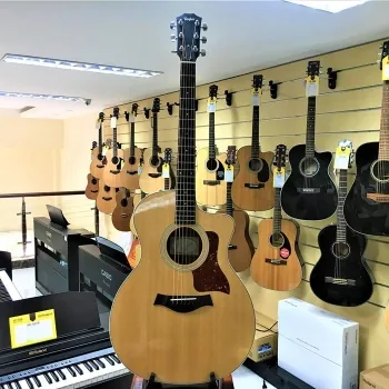 Taylor 214CE
