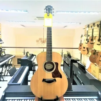 Taylor GSMini